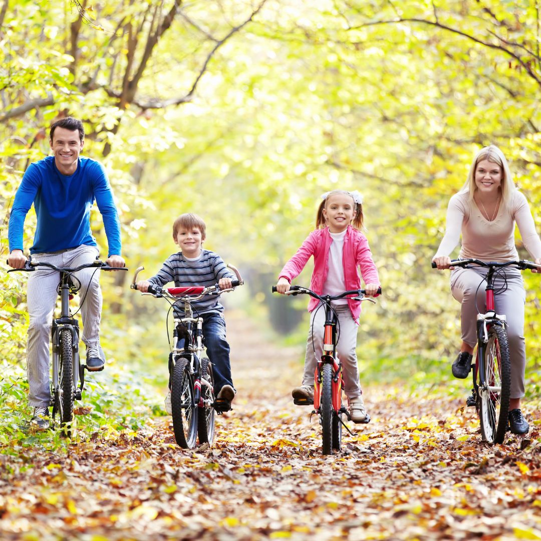 Eine Familie, die in einem Wald Fahrrad fahren.